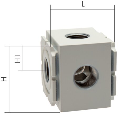 Exemplary representation: Eco-Line manifold block for service units